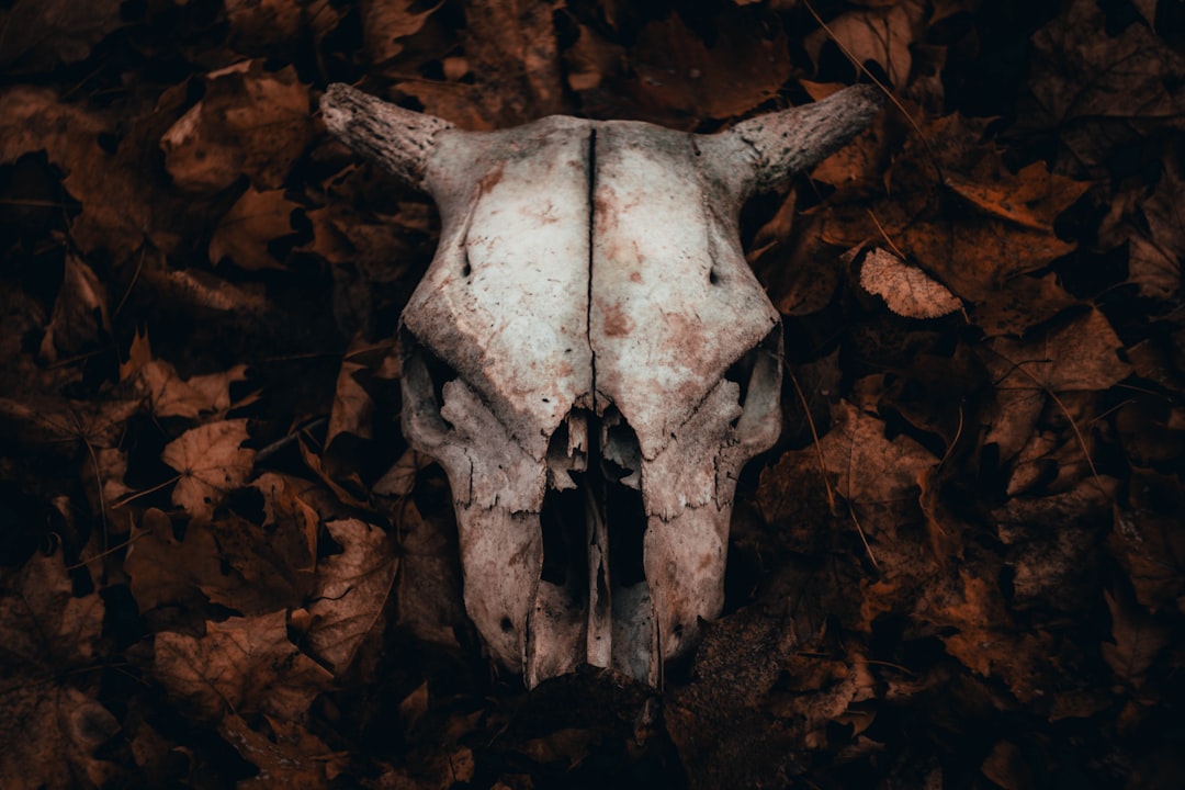 Death