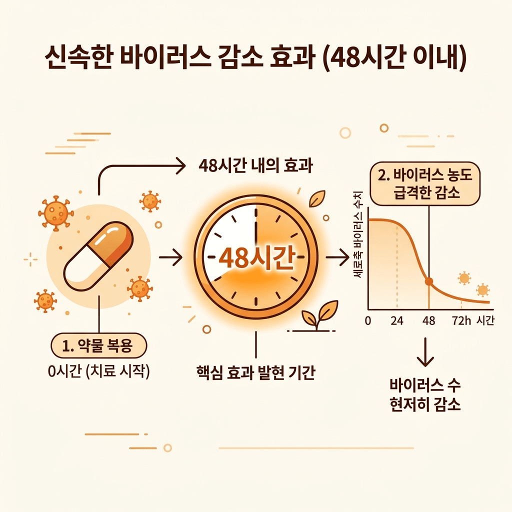 독감 48시간 골든타임 항바이러스제 타이밍 인포그래픽