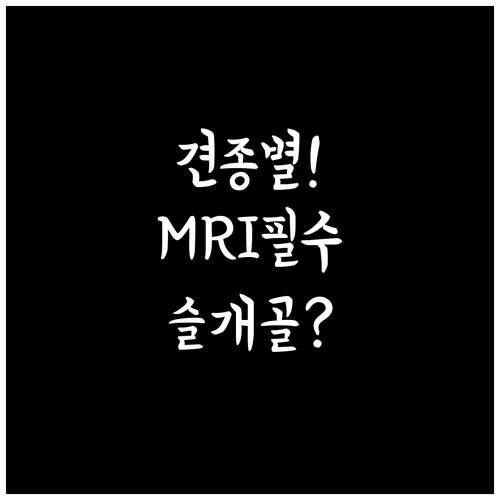 견종별 강아지 보험 영상검사 특약, ..