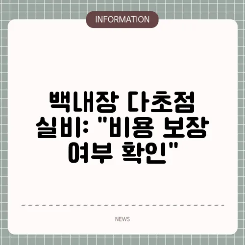 백내장 다초점 실비: 