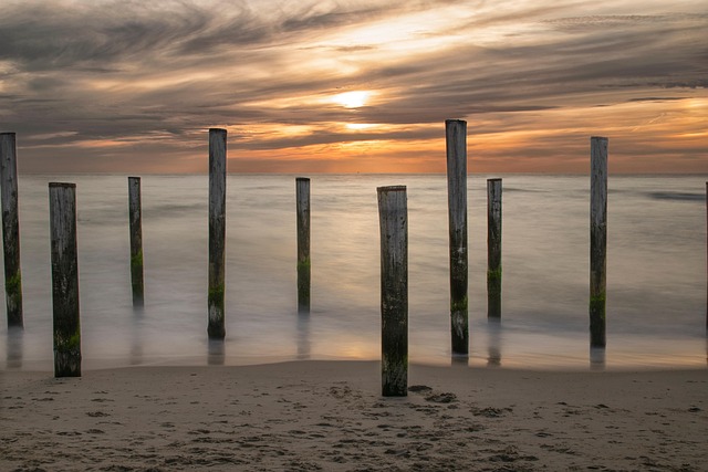 전세보증금 반환보증보험 9