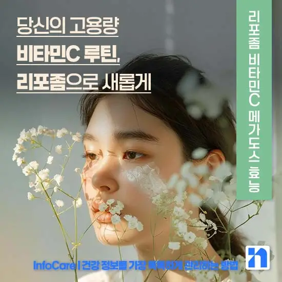 리포좀 비타민C 메가도스 효능
