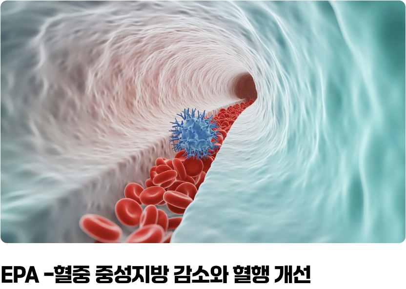 EPA? DHA? 똑똑하게 확인하는 법