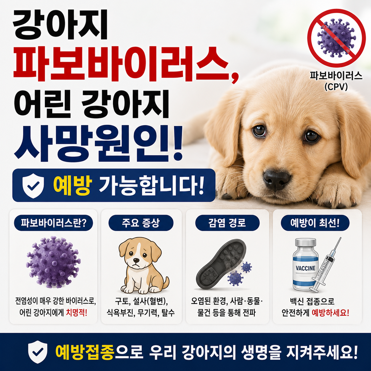 강아지 파보바이러스