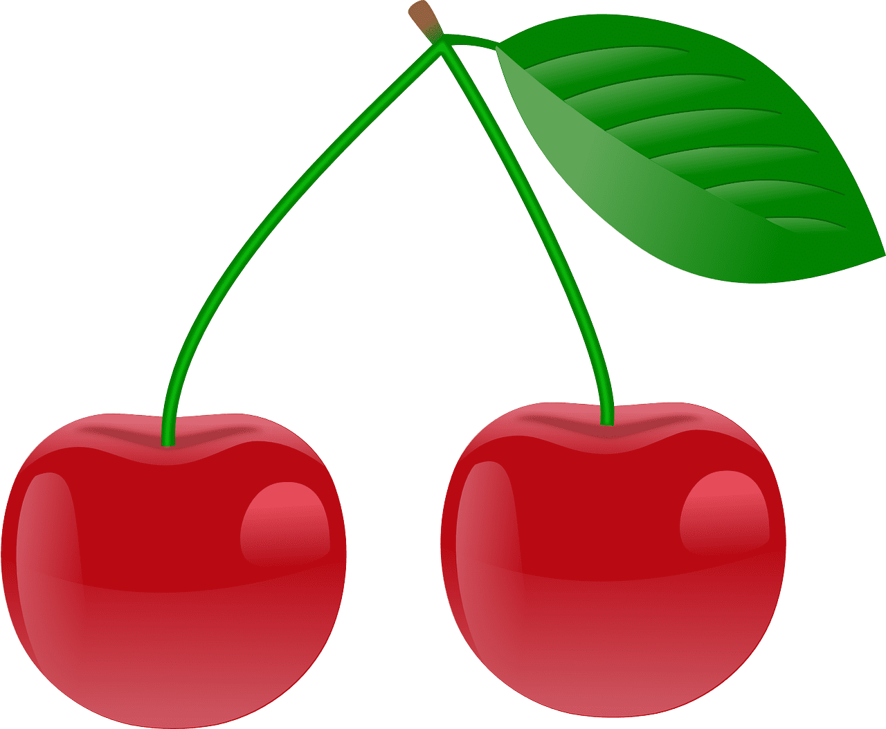 앵두청 만들기 효능 담그는법 황금레시피 보관 방법