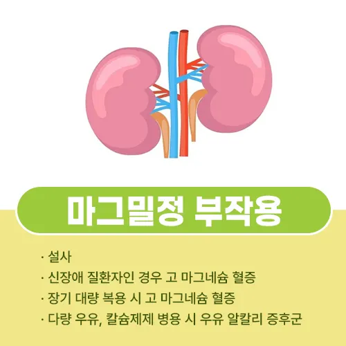 마그밀정 부작용