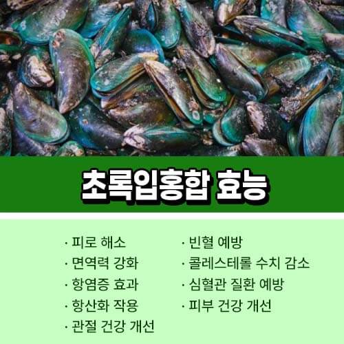 초록입홍합