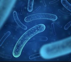 침삼킬때 목통증 목따가운 이유&amp;#44; 완화방법 인후통 생기는 이유