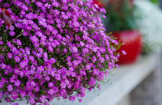 교육비 지원 항목