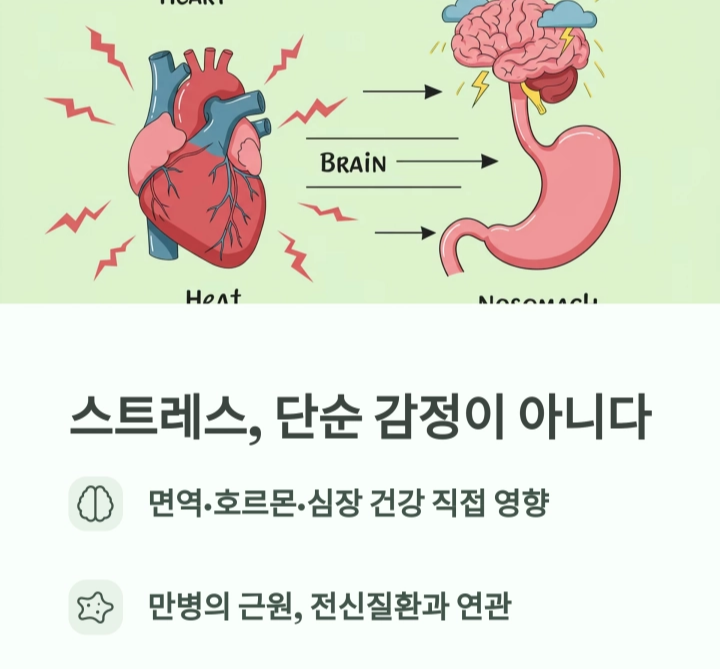 스트레스와 만성질환, 40대부터 관리해야 하는 이유