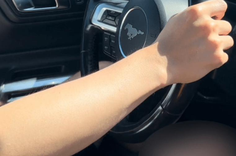 해외 렌트카 업체 알라모 렌트카 후기, 총 렌트비용 및 허츠, 에이비스, 렌터프라이즈, 내셔널 등 타업체와 비교 분석