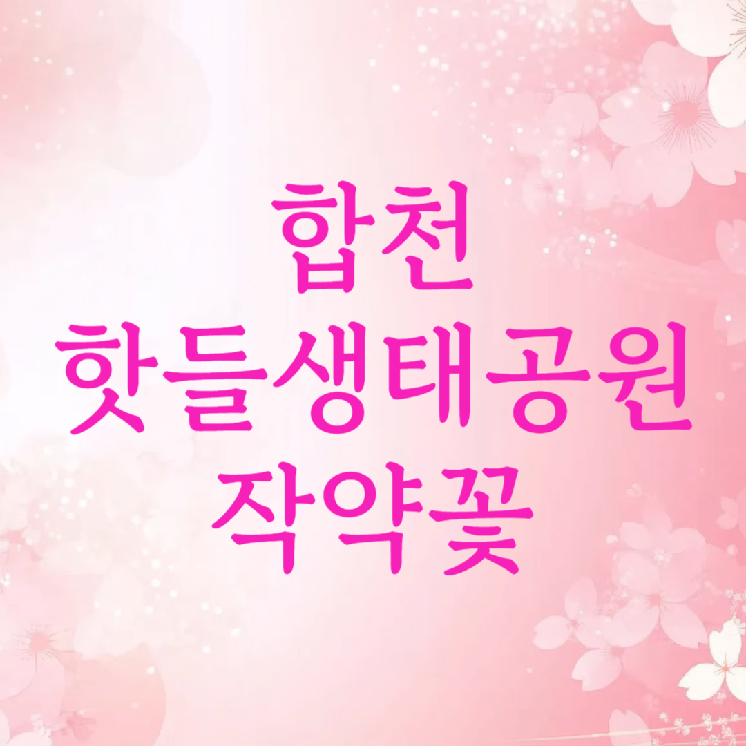 합천 핫들생태공원 작약꽃 개화