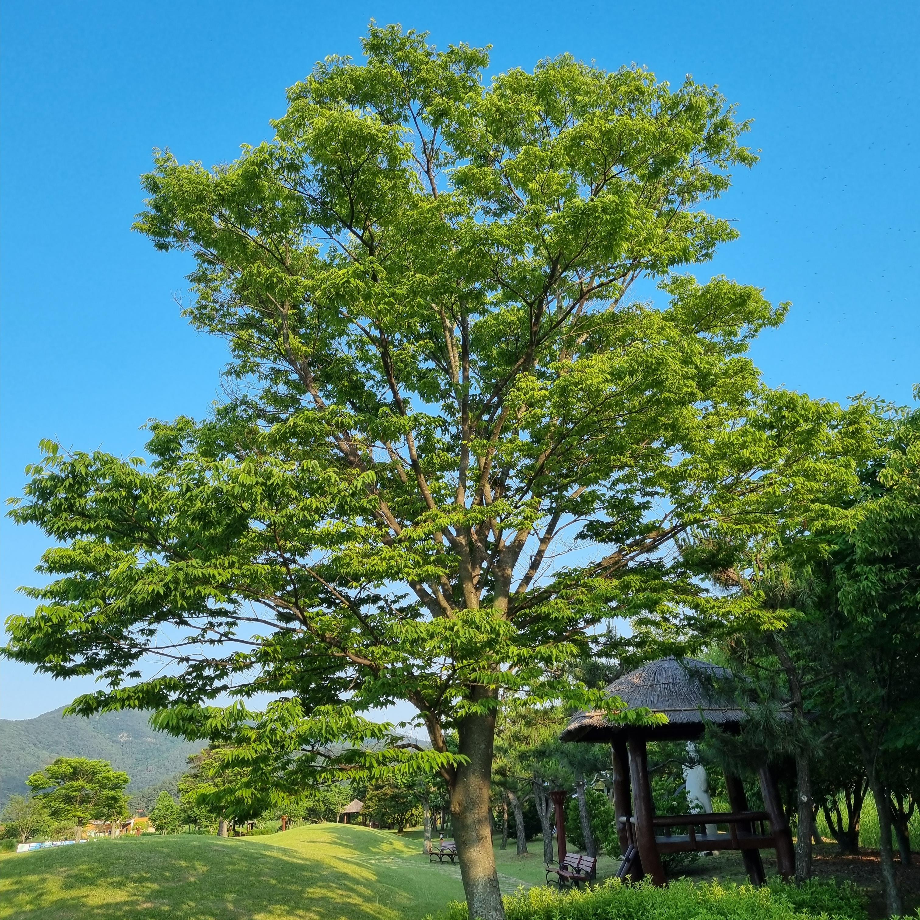 순천만습지 잔디광장