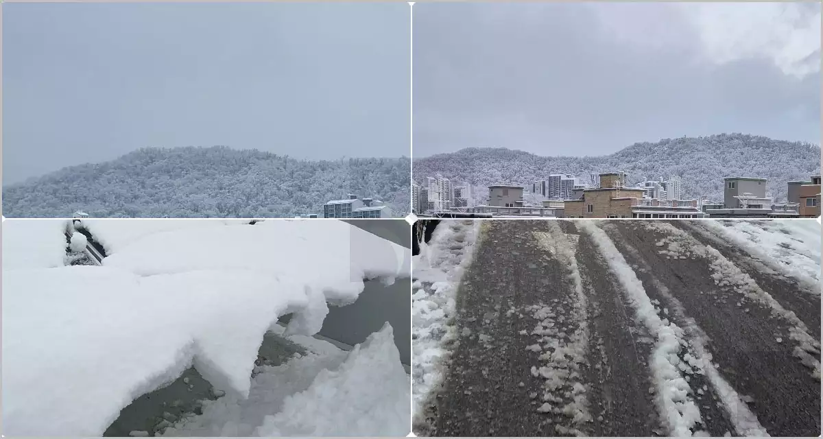 눈 온 뒤 세상