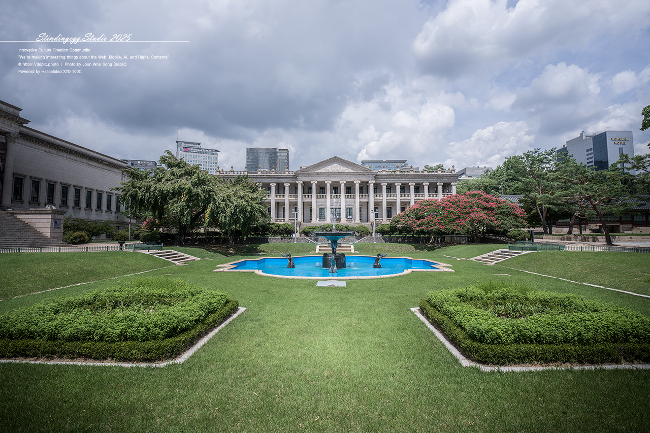 #서울 #대한제국 #덕수궁 #궁궐 #배롱꽃