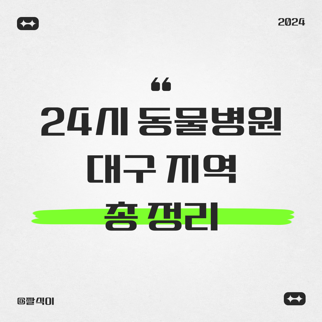24시 동물병원 대구 지역 총 정리 - 야간, 토요일, 일요일, 공휴일 포함