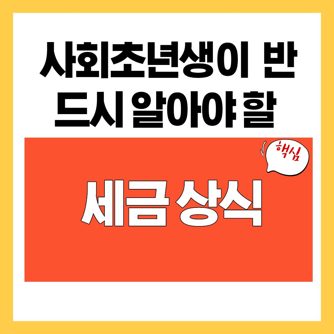사회초년생이 처음 직장 생활에서 반드시 알아야 할 세금 상식