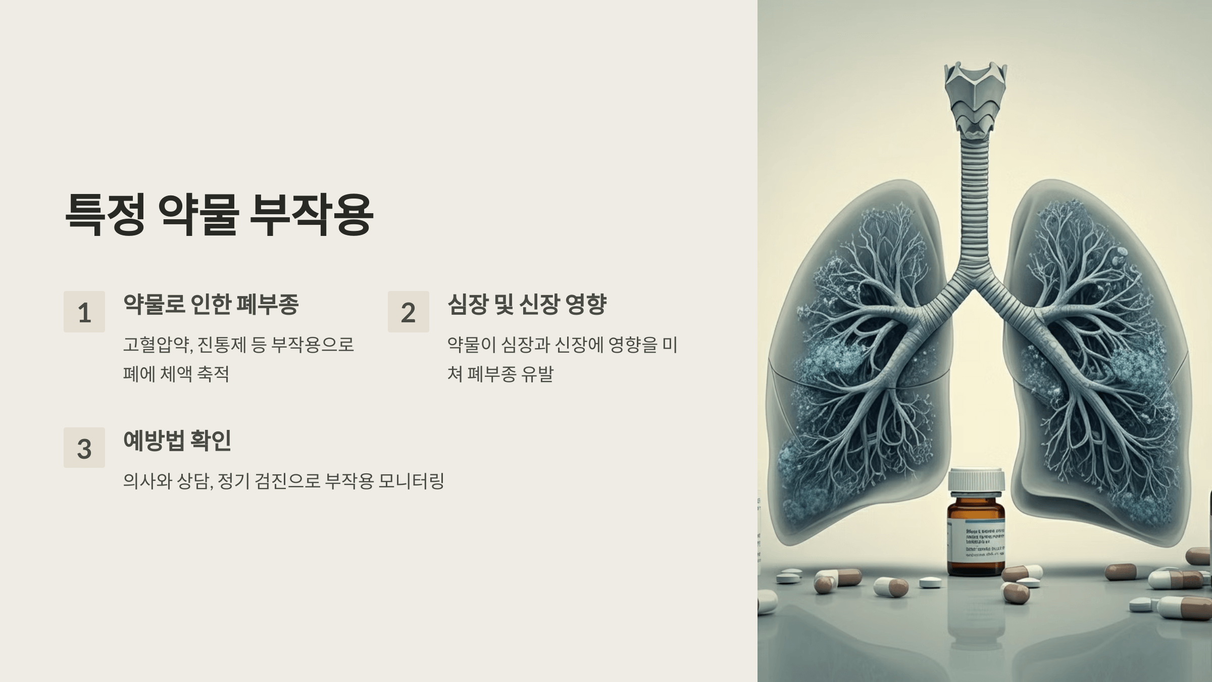 폐와 관련된 사진입니다.