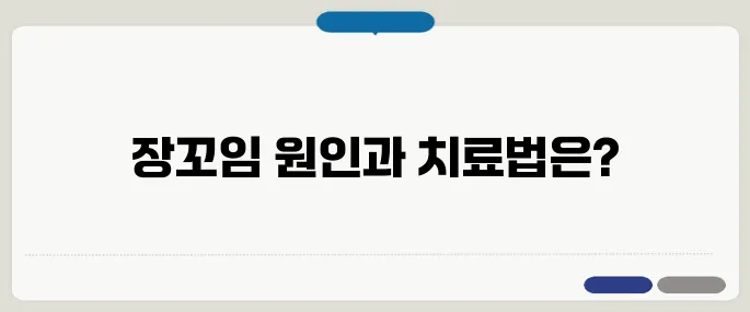장꼬임 증상 방법 가장 많이 찾는 정보