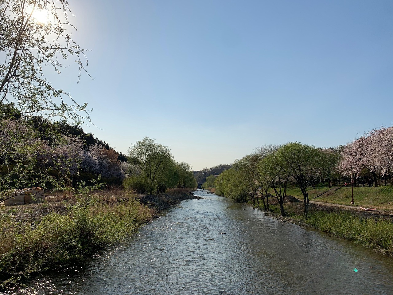 서울벚꽃명소 베스트 5 한강 여의도 석촌호수