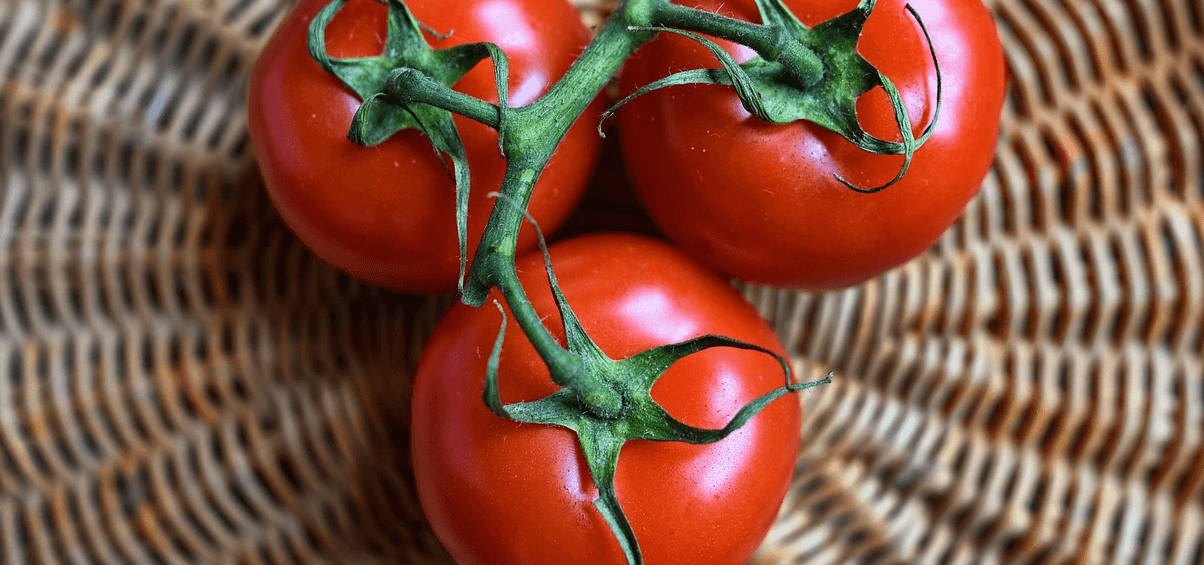  부종에 좋은 음식 사진 토마토