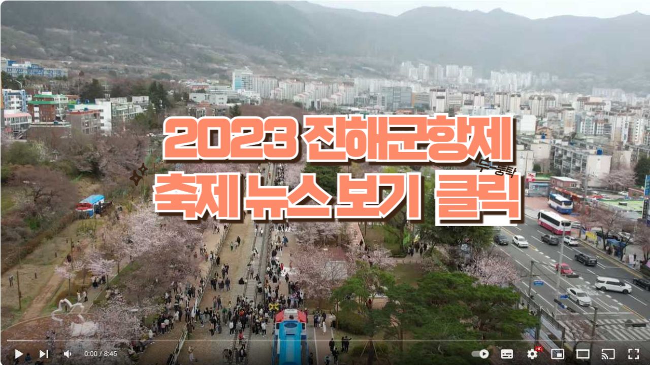 진해군항제