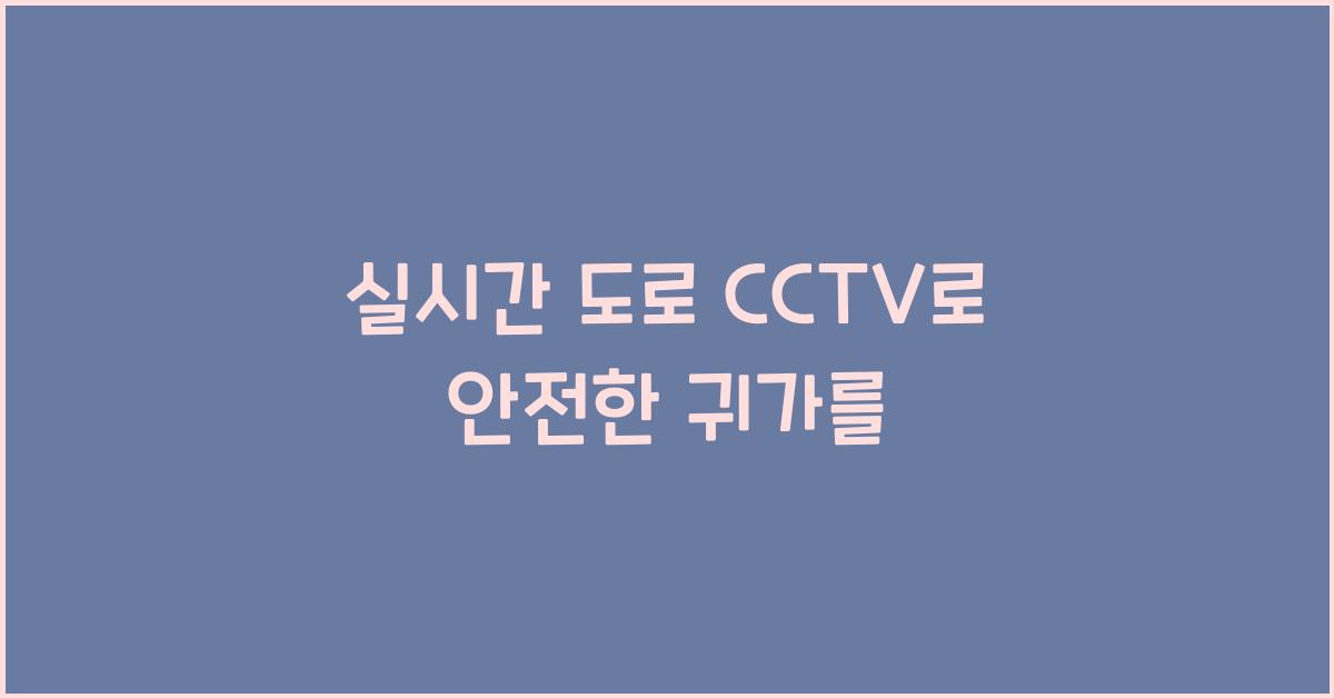 실시간 도로 cctv