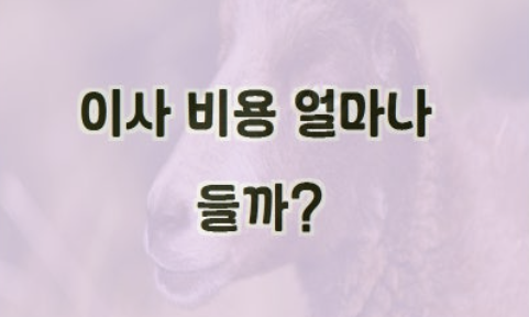 이사비 절감 꿀팁