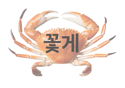꽃게