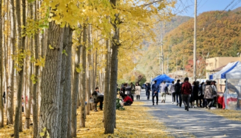 경주이미지