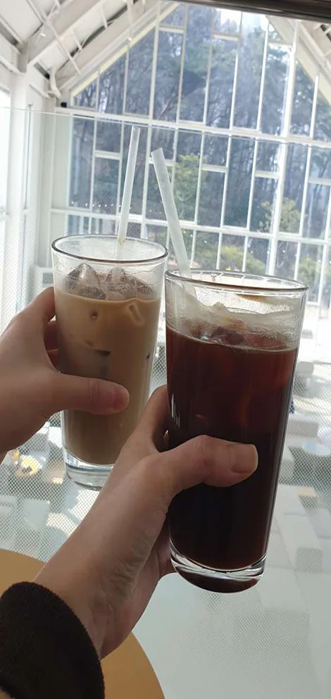스티빈