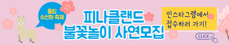 피나클랜드 튤립 수선화 봄꽃 축제 불꽃축제