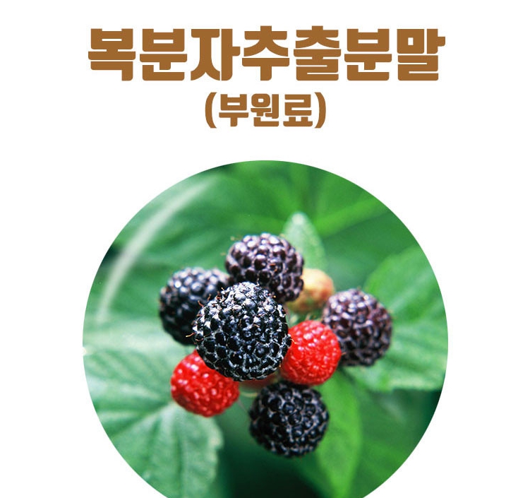 전립선영양제 쏘팔메토효능 완벽정리