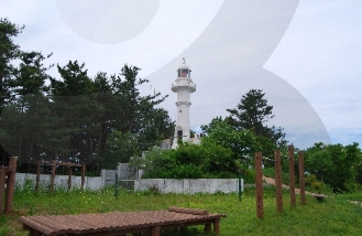 진부령 자연휴양림 위치, 예약, 숙소주변관광지 총정리! 2026 오픈 소식
