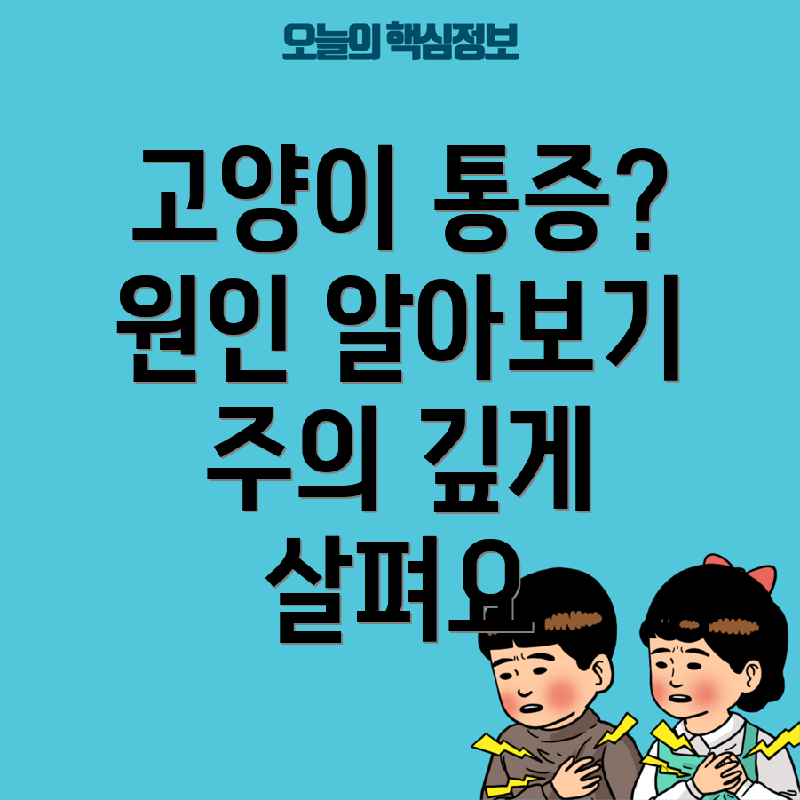 고양이 허리통증