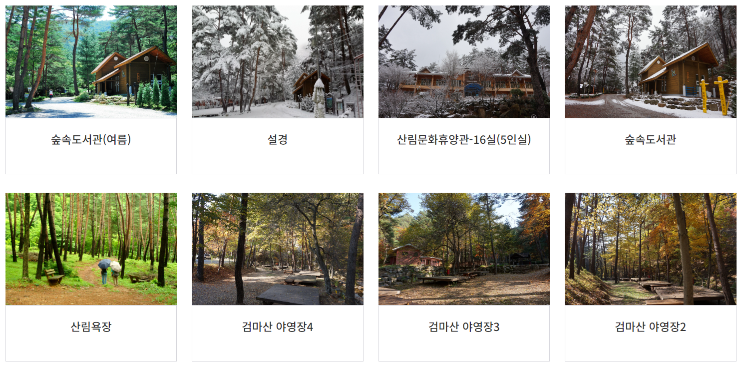 검마산 자연휴양림 예약 방법 총정리