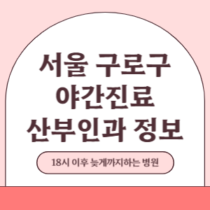 서울 구로구 야간진료 산부인과 병원 (18시 이후 늦게까지하는 병원)