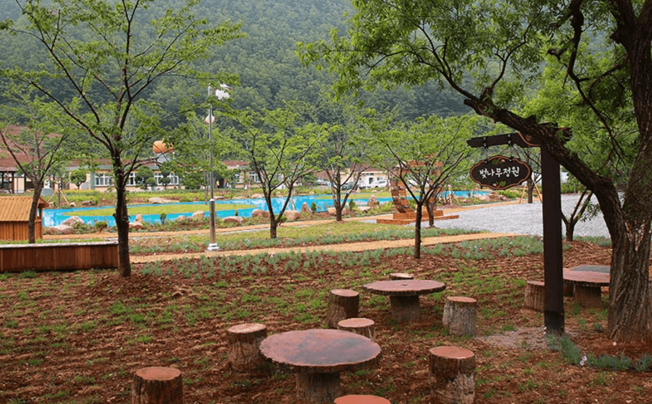 강원도 겨울 반려동물 애견 동반 여행지 추천