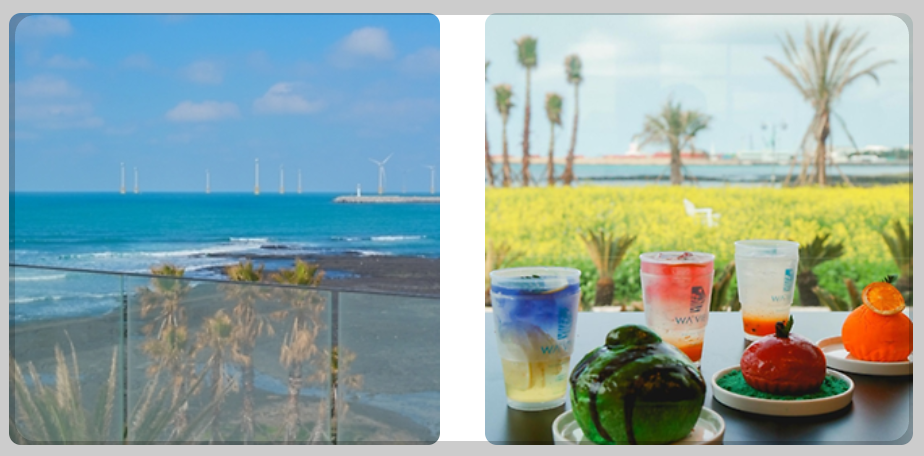 전국 유채꽃 축제 일정