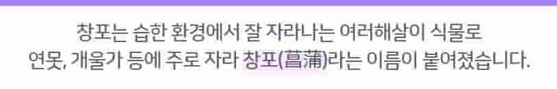 창포