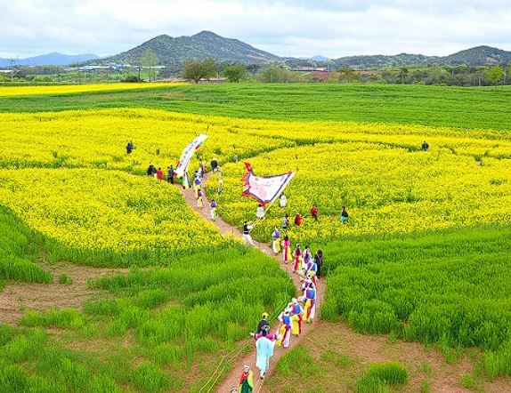 고창 청보리밭 축제 입장료 맛집 숙박 주차
