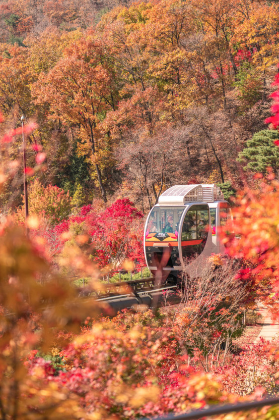 화담숲 단풍축제