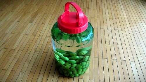 매실주-걸러내기-매실-독성물질