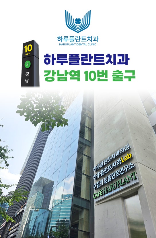 서초구 하루플란트치과 건물 전경 및 강남역 10번 출구 위치