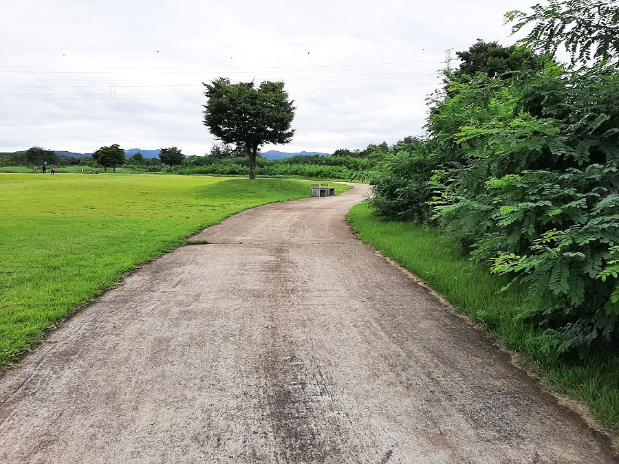 경상북도 구미 양호파크골프장 소개