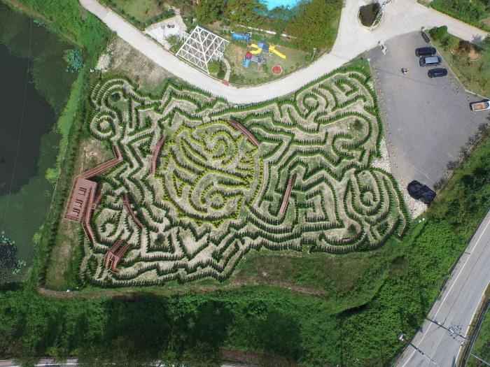 안면도 미로공원