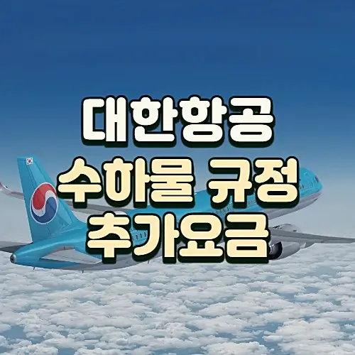 대한항공-수하물-규정-추가요금-알아보기