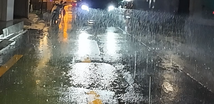 Alt 속성 문제 해결 설명 이미지