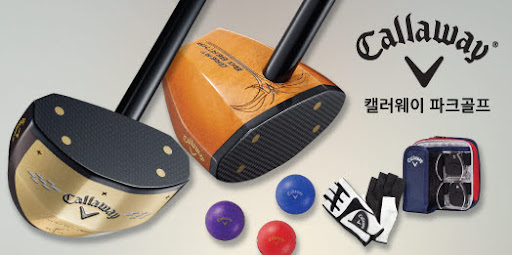 파크골프의 여러가지 빅데이터들 (2024년의 파크골프 성장)