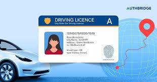 국제운전면허증 인터넷 발급